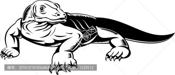 科莫多龍