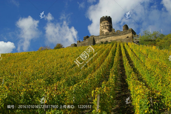 Fuerstenberg,08