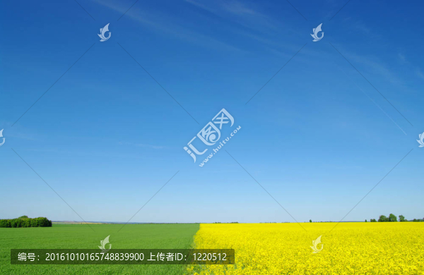 景觀