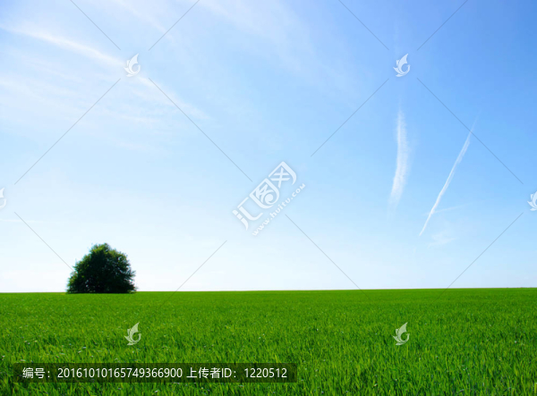 陽光明媚的一天