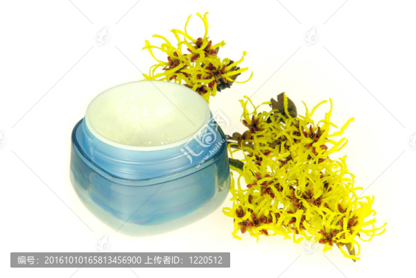 金縷梅精華06