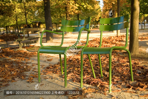 巴黎的秋天。在盧森堡園林典型的巴黎公園椅。巴黎；法國