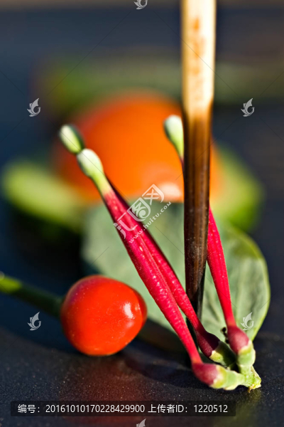 摘要蔬菜