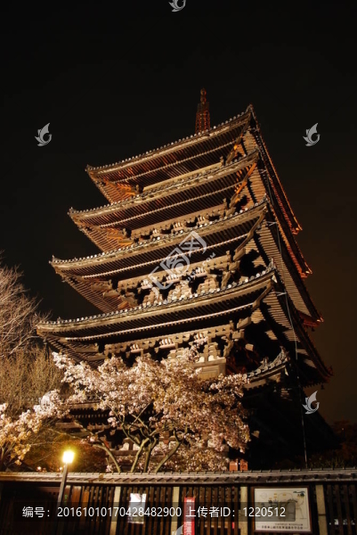 雄偉的塔夜觀