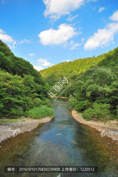 清澈的溪流流入山上