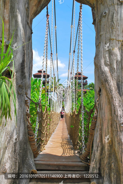 通往天堂的木制懸索橋