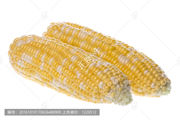 珍珠玉米分離