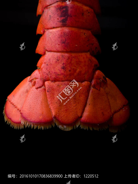 食品