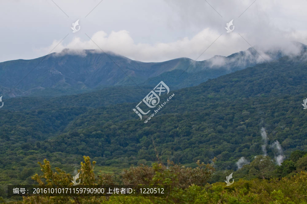 在哥斯達(dá)黎加的熱帶雨林，弗卡諾