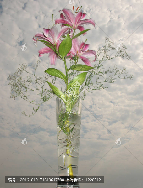 百合和Gypsophila在傍晚的天空的花束