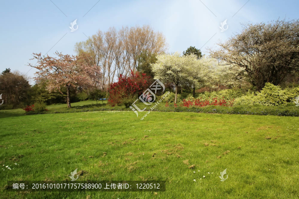 綠色的背景