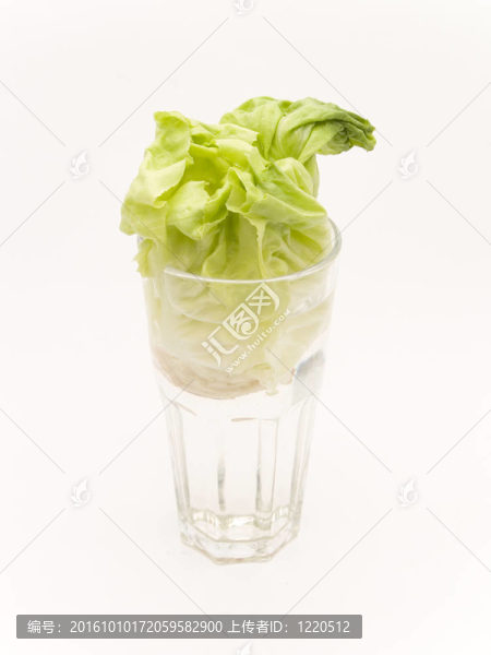 玻璃生菜