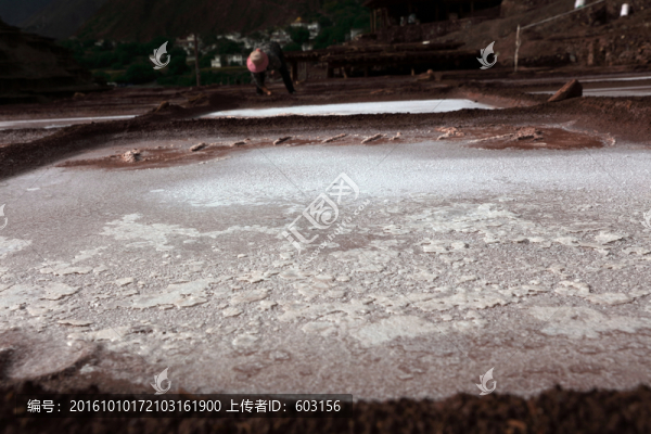 西藏,鹽井