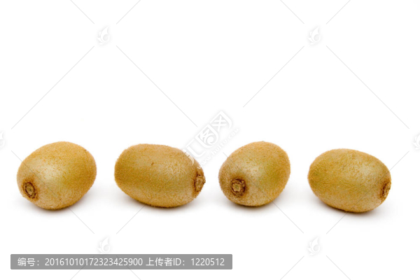 獼猴桃果實(shí)