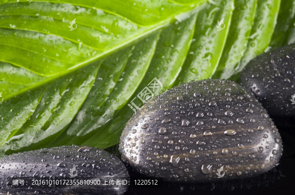 水療生活館