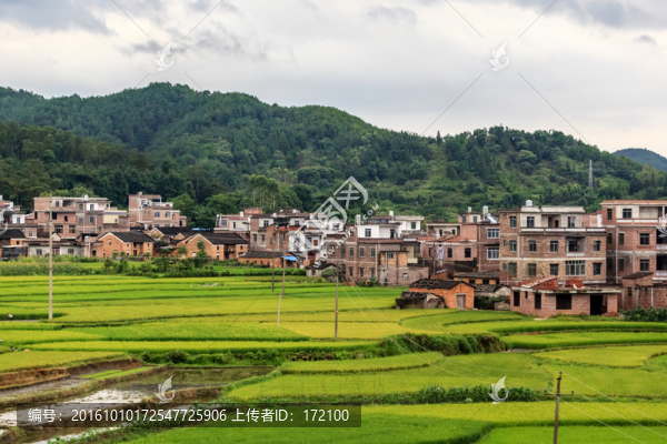 貴州旅游沿途風(fēng)景