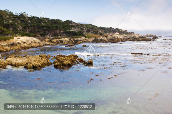 加利福尼亞北海岸