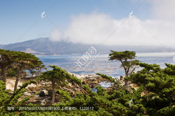 加利福尼亞北海岸