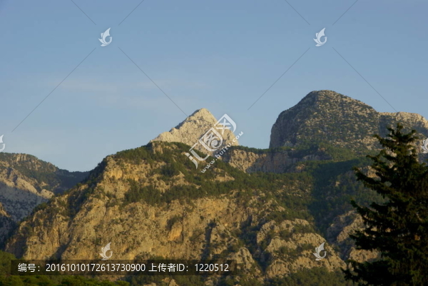 山