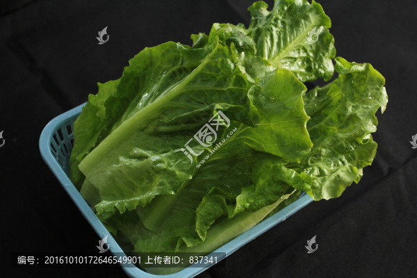 青菜