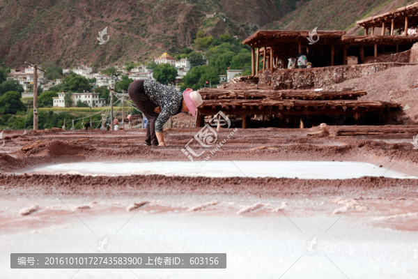 西藏,鹽井