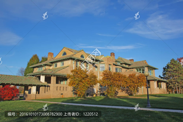 大學校園建筑與落葉