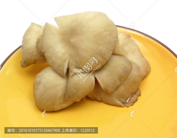 白瓷上的平菇