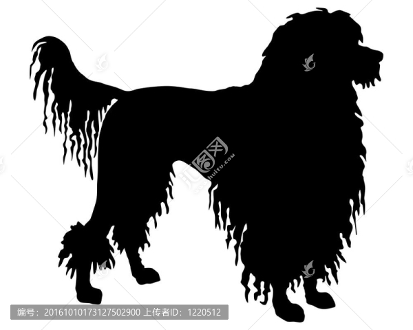 葡萄牙水犬的黑色剪影