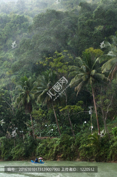 雨林的雨天