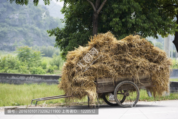 中國的干草車