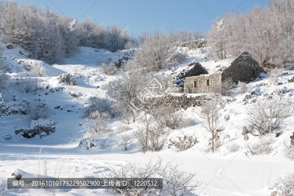 被遺棄在雪中