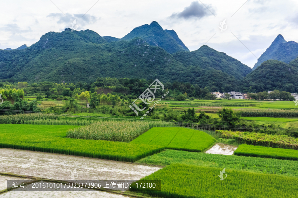 貴州旅游沿途風(fēng)景