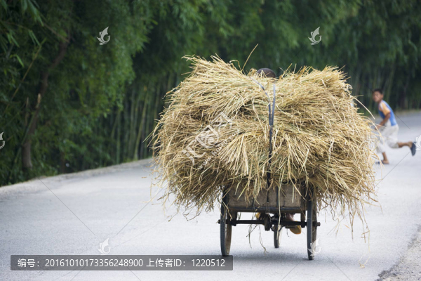 中國的干草車
