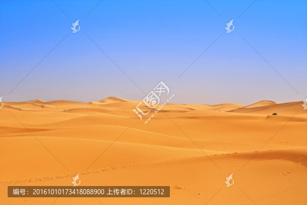 廣闊的沙丘觀