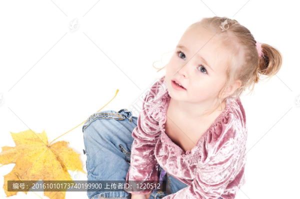 蹣跚學(xué)步的楓葉
