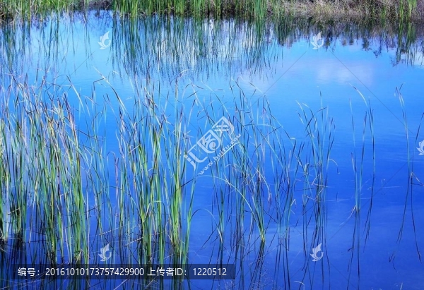 藍(lán)色的水