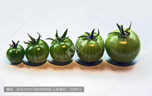 五綠色西紅柿