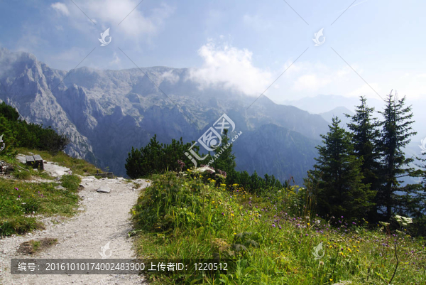 阿爾卑斯山脈