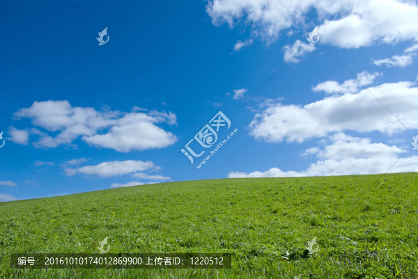 美麗的綠色草原與白云