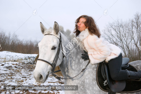 美麗的姑娘在馬背horse.winter