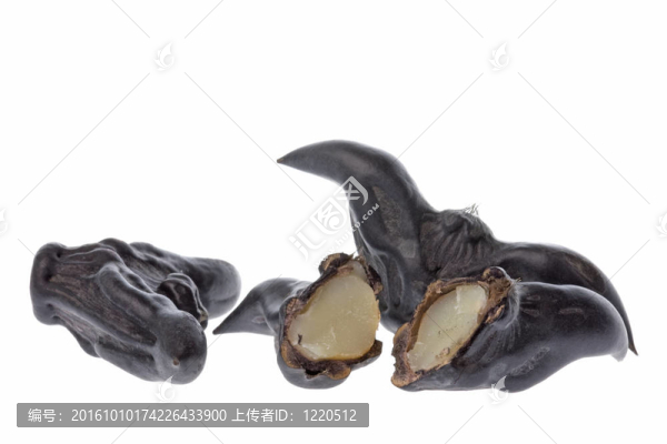 烏菱的堅果