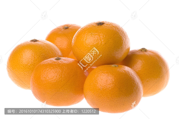 柑橘中分離