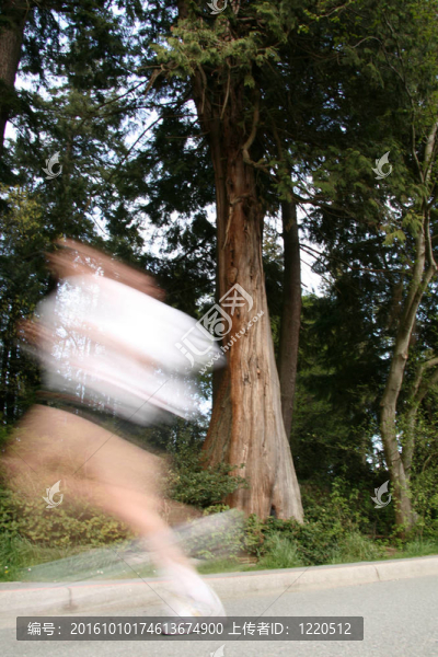 運(yùn)行；溫哥華；加拿大