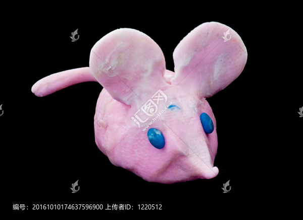 橡皮泥老鼠。