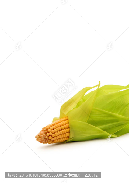 玉米