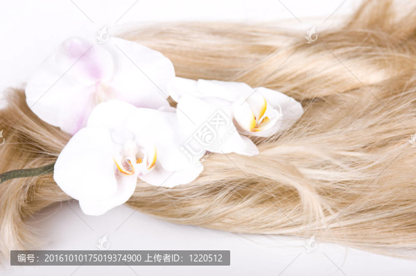頭發(fā)