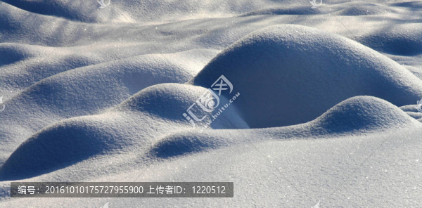 雪花飄