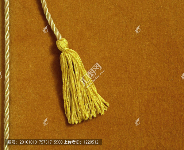 有流蘇的黃色天鵝絨的專輯（書簽）