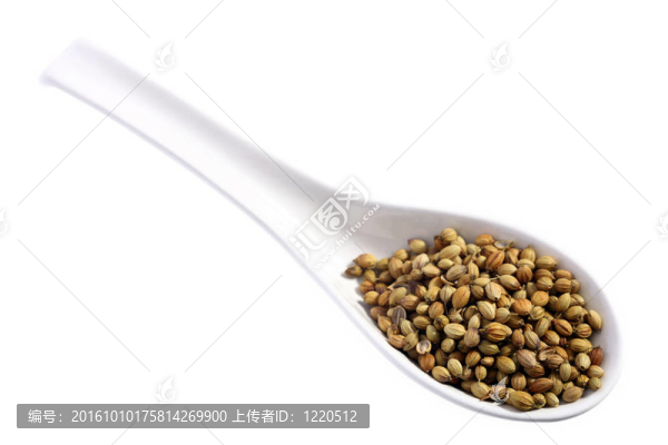 一勺香菜