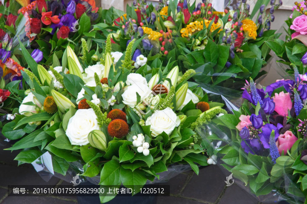 五顏六色的花束